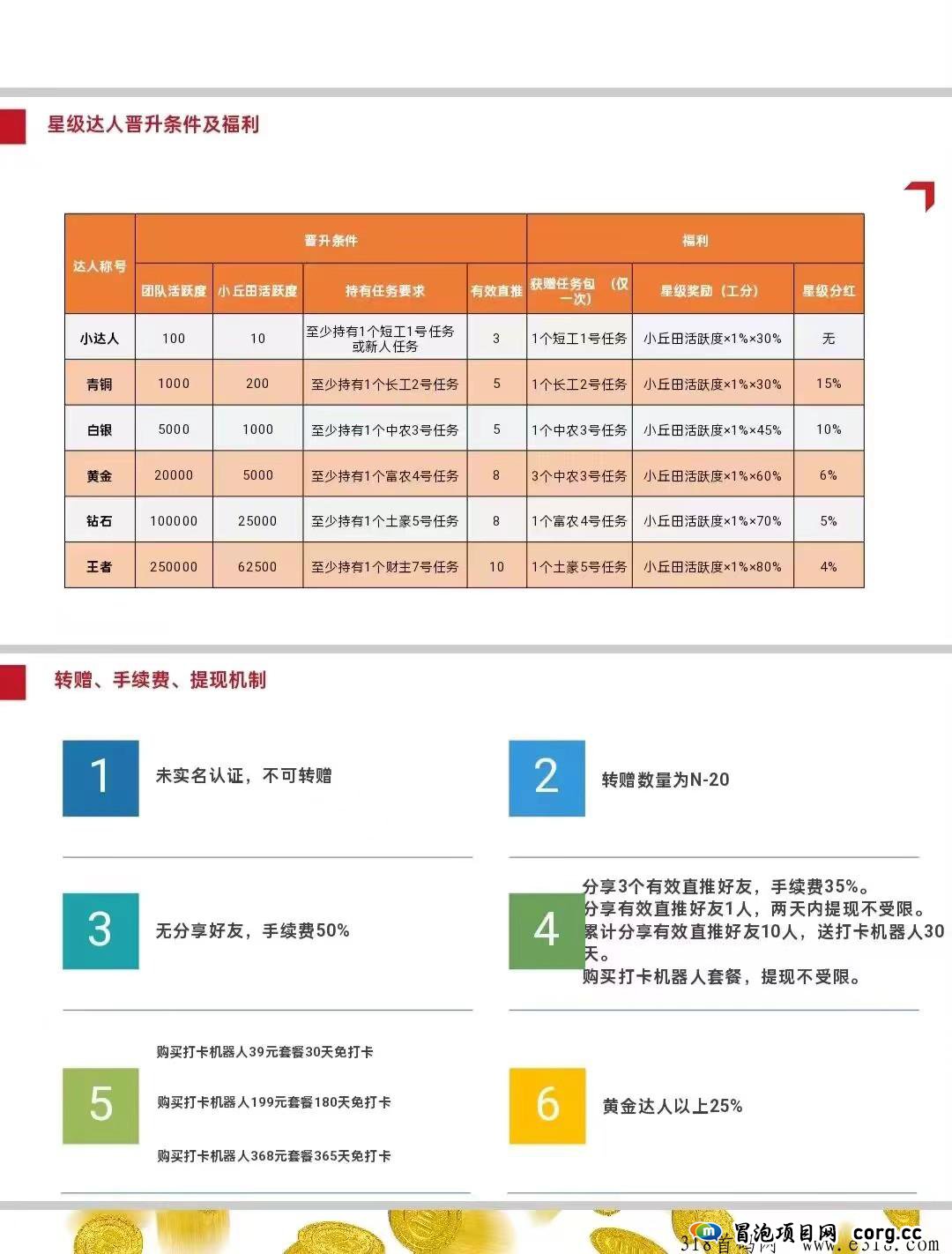 凤凰潮实体零撸项目，长久稳定，做团队赚到爆单