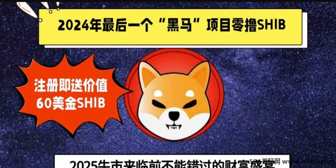 SHIB视界：2025火爆项目详解！